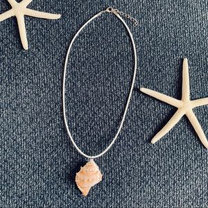 Seashell Necklace